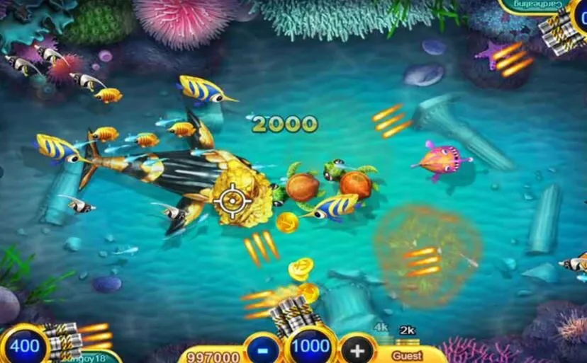 Hiểu rõ các loại cá và vũ khí